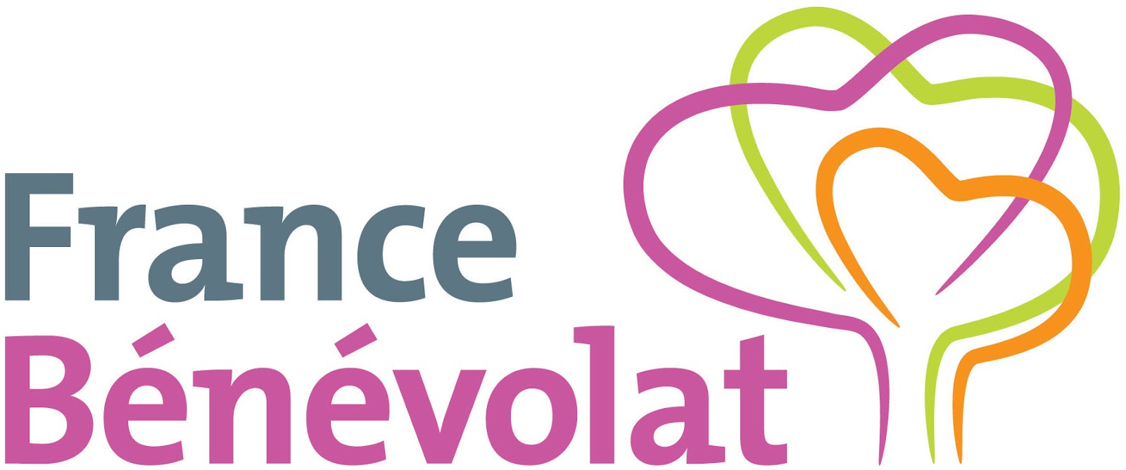 logo_france_benevolat